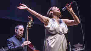 Pink Martini On Mountain Stage